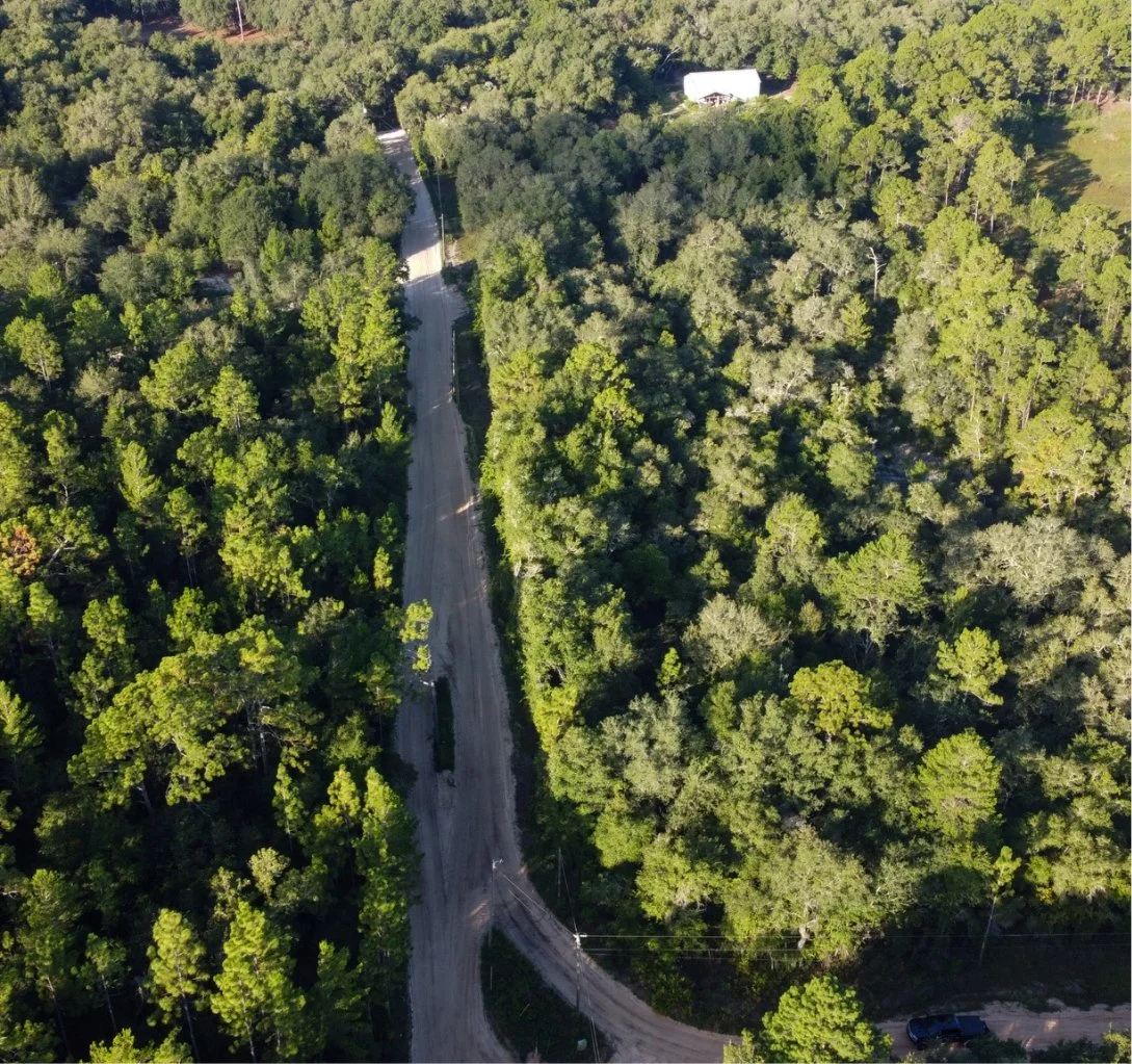 Aerial view of a winding dirt road through a dense green forest with a white building at the top edge