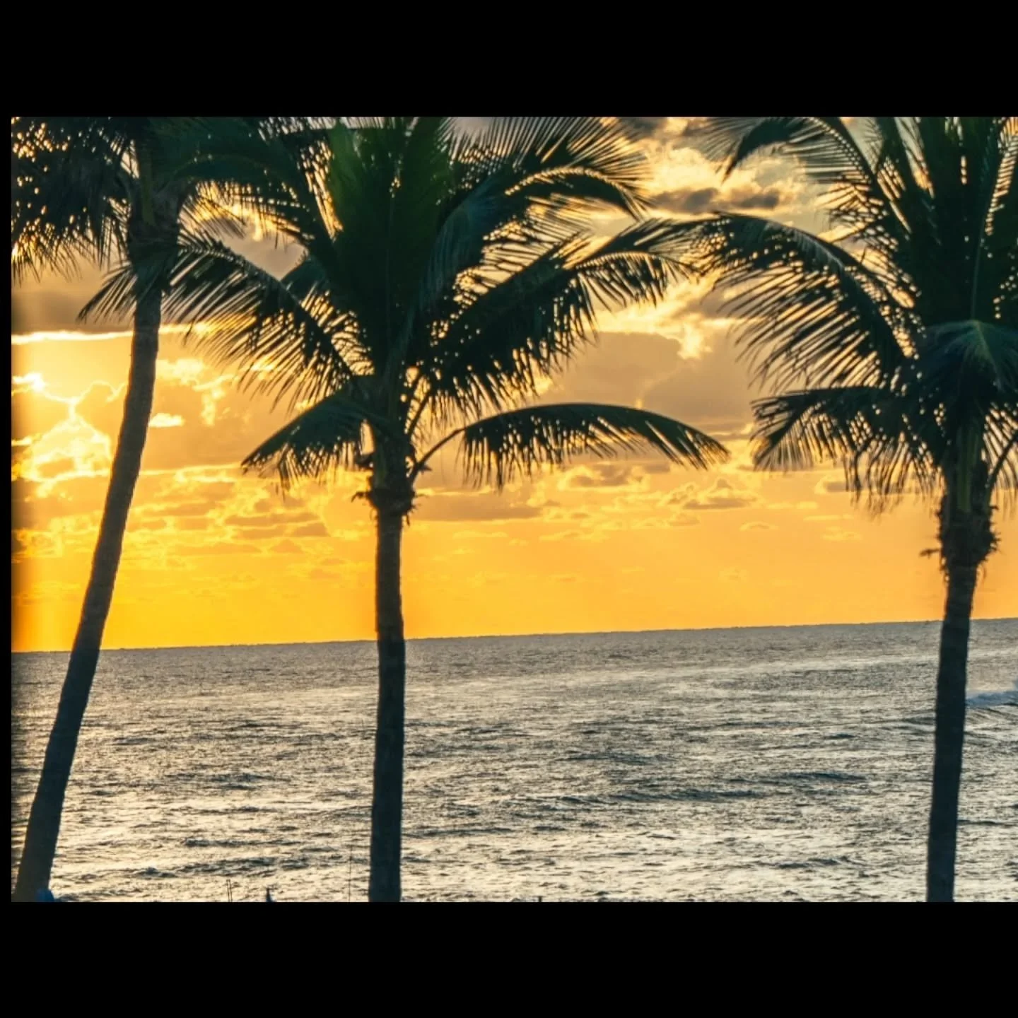 Watching traffic- boat edition

#SkyhoundVisuals #WestPalmBeach #FloridaCoast #SouthFlorida #PalmBeachLife #FloridaPhotography #BoatLife #OceanViews #TravelPhotography #CoastalLiving #VisitFlorida #ExploreFlorida #FloridaLife #BeachVibes #SaltLife #S