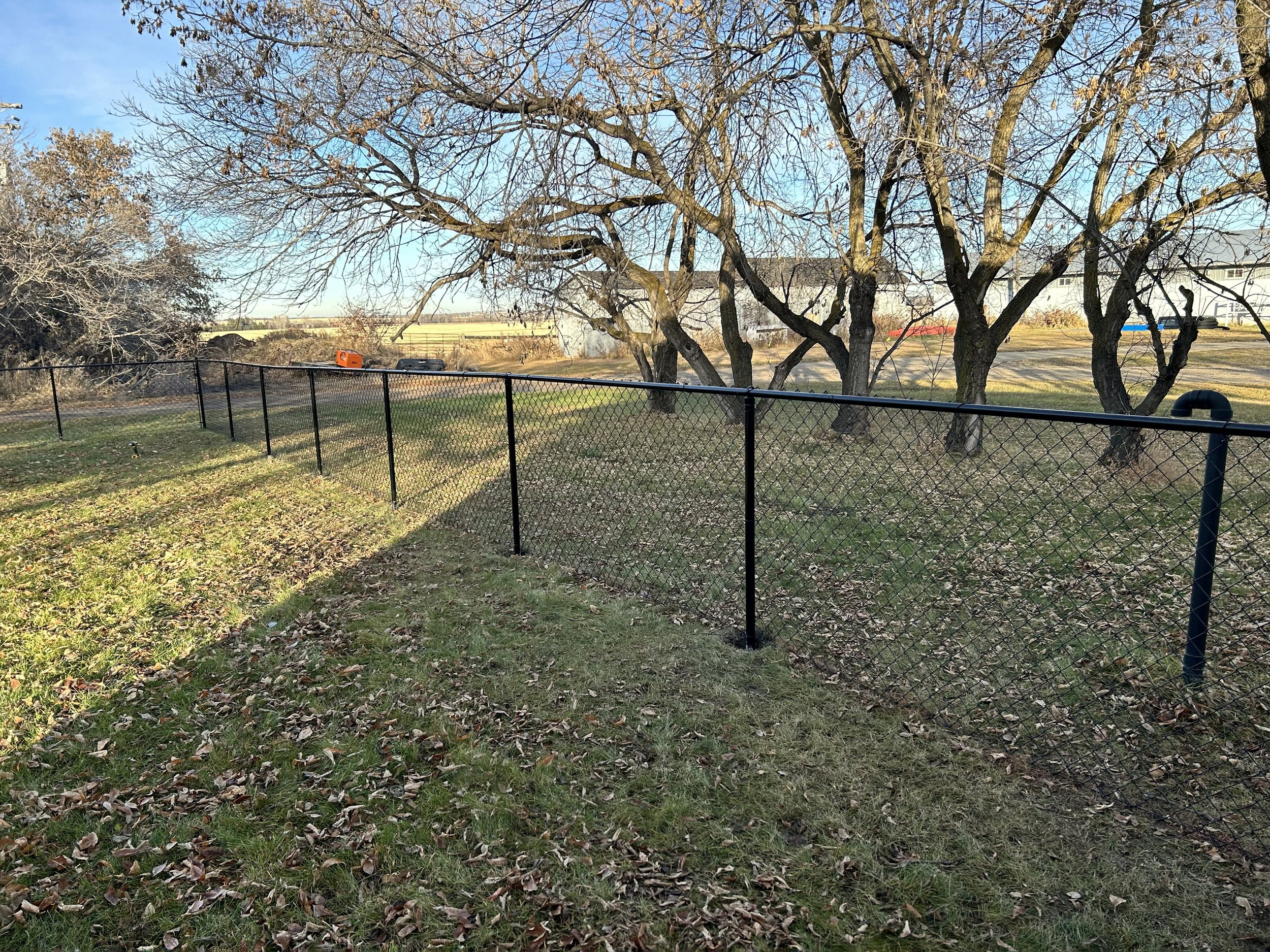 A backyard with a black chain-link fence, leafless trees, and a grassy yard with fallen leaves during autumn. In the background, there are fields, trees, and houses under a clear blue sky.
