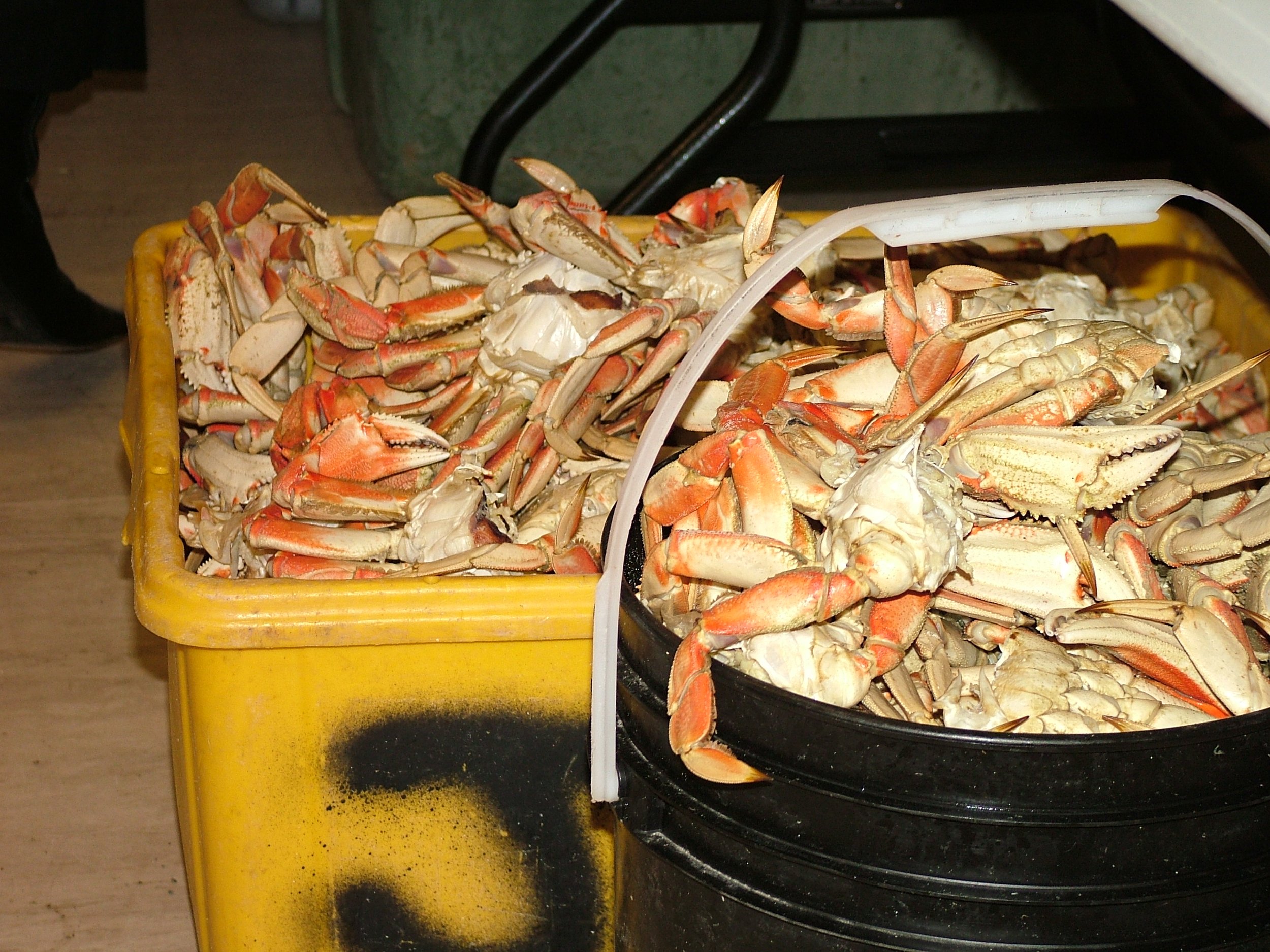 cookedCrab.jpg