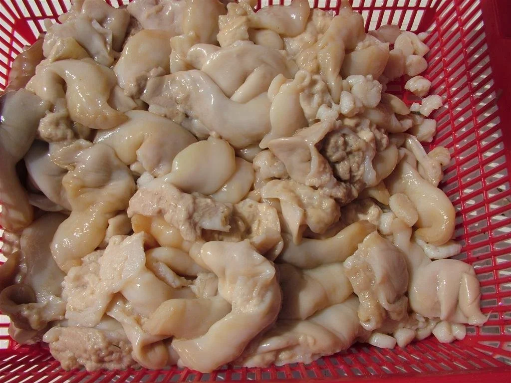 RazorClamsCleaned.JPG