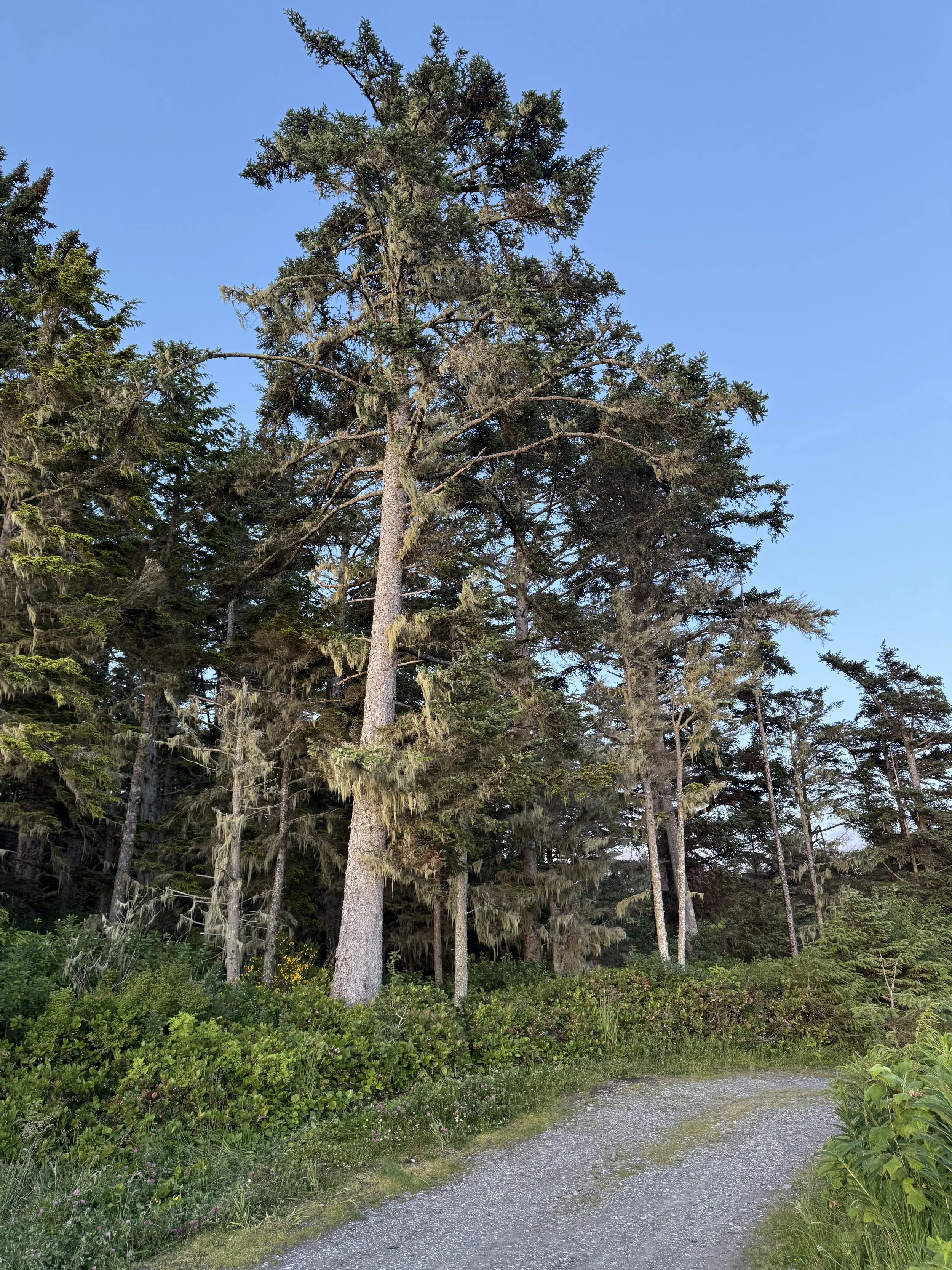 image00015.jpeg
