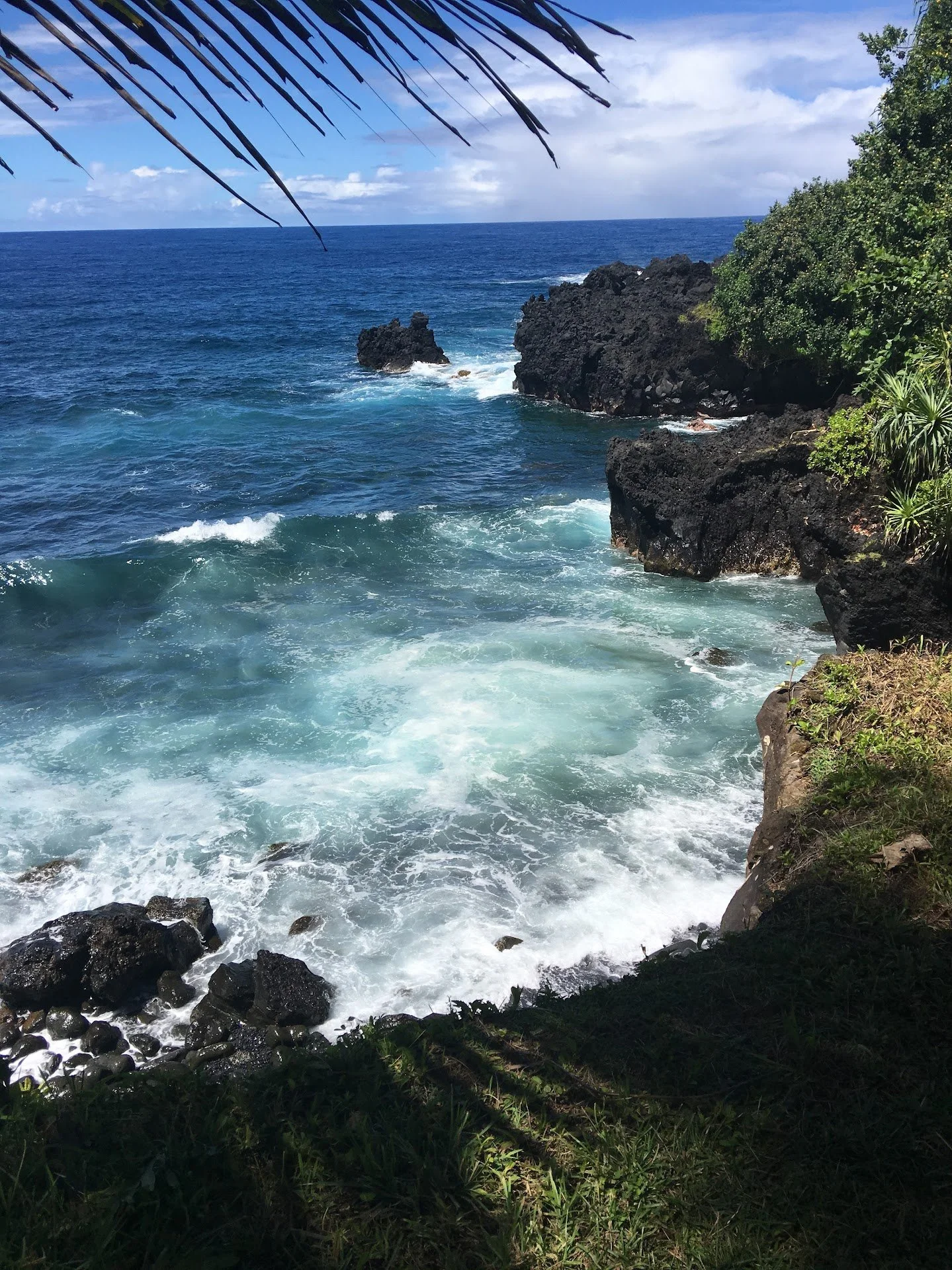 Wailea/Maui Travel Guide