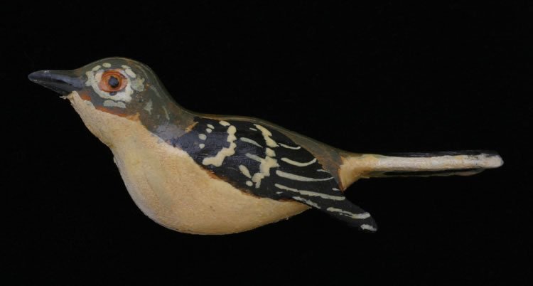 Northern Mockingbird.jpg