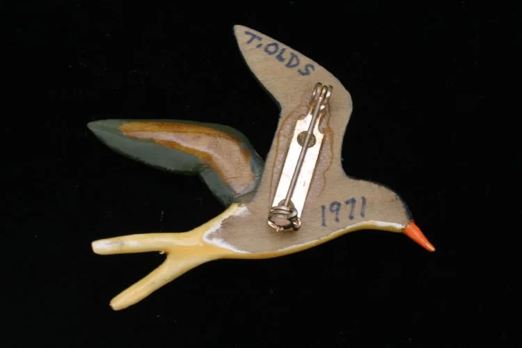 Tern species - back.jpg