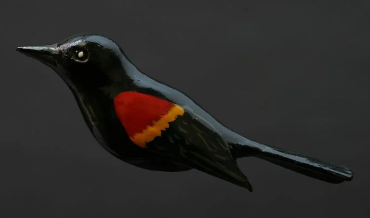 Red-winged Blackbird.jpg