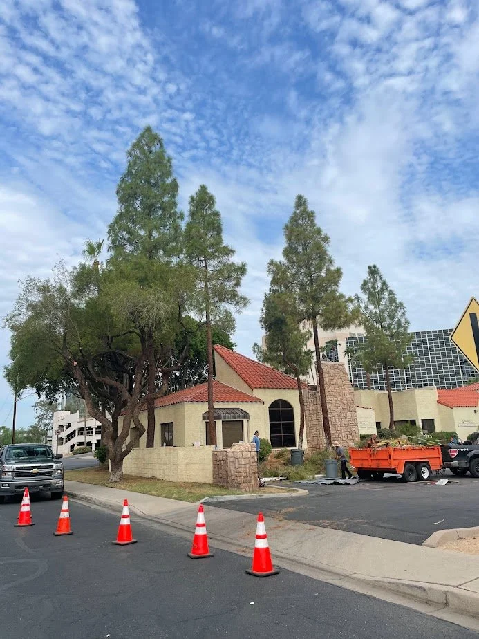 Tree Toppers provides professional commercial tree trimming and tree removal in Tucson, AZ. We work with HOAs, property managers, and businesses to maintain safety, compliance, and curb appeal.