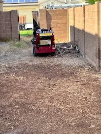 Stump grinding in tucson az