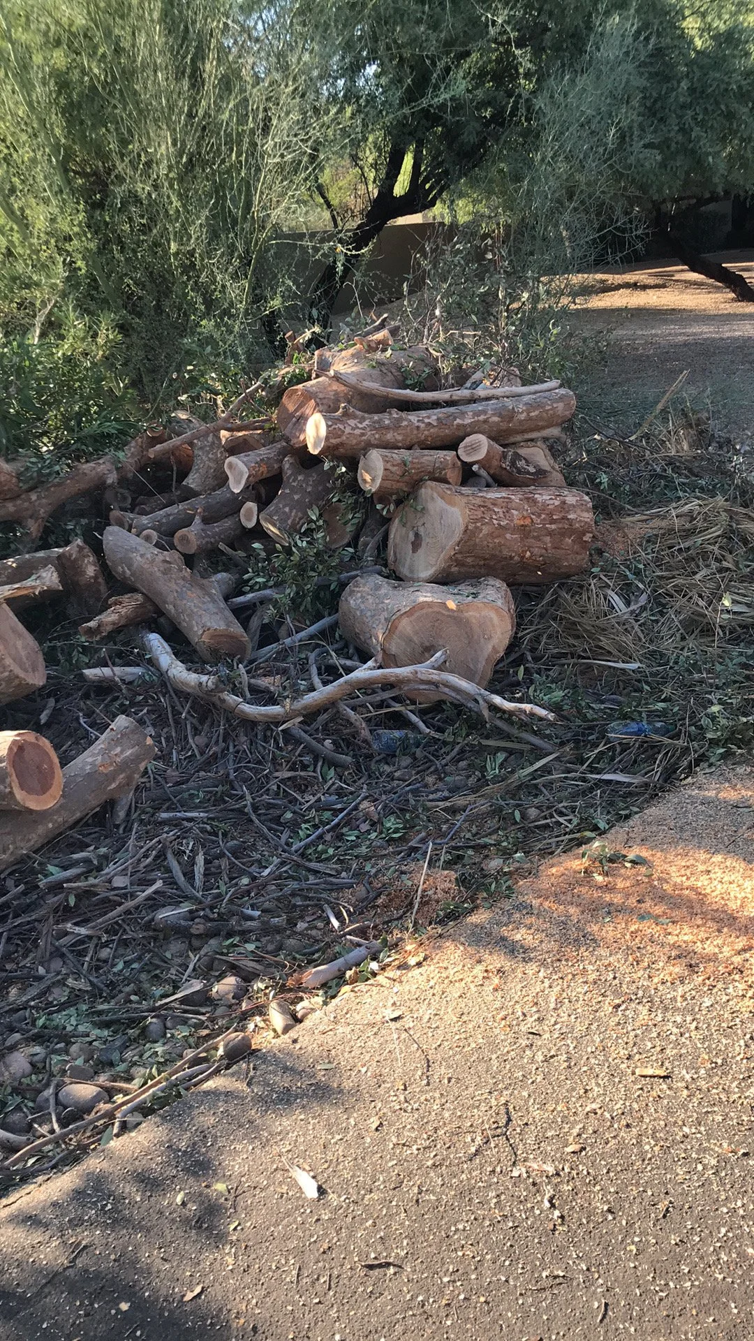 Looking for wash or land clearing near you in Tucson, AZ? Tree Toppers offers reliable brush clearing, debris removal, and lot cleanup for homes and acreage.