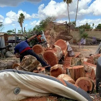 Storm damage? Tree down? Tree Toppers offers emergency tree removal in Tucson, AZ with fast response, safe removal, and free estimates. We are affordable, and fast offering emergency tree services in Tucson, Vail, Oro Valley, and surrounding areas! C
