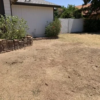 Professional tree removal in Tucson, AZ with or without stump grinding. Safe removal of hazardous, dead, or unwanted trees. Free estimates available.