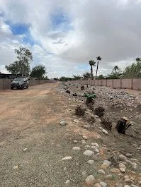 Tree Toppers provides expert wash and land clearing services in Tucson, AZ. We safely remove brush, invasive growth, fallen trees, and debris to restore drainage and prepare land for use. Commercial and residential services available. 
