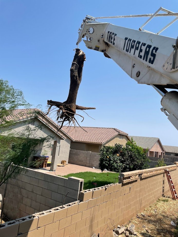 Emergency tree removal near you in Tucson, AZ, Vail, AZ, Oro Valley,  Pima County, and surrounding areas. Tree Toppers responds quickly to storm-damaged trees, fallen limbs, and urgent tree hazards.
