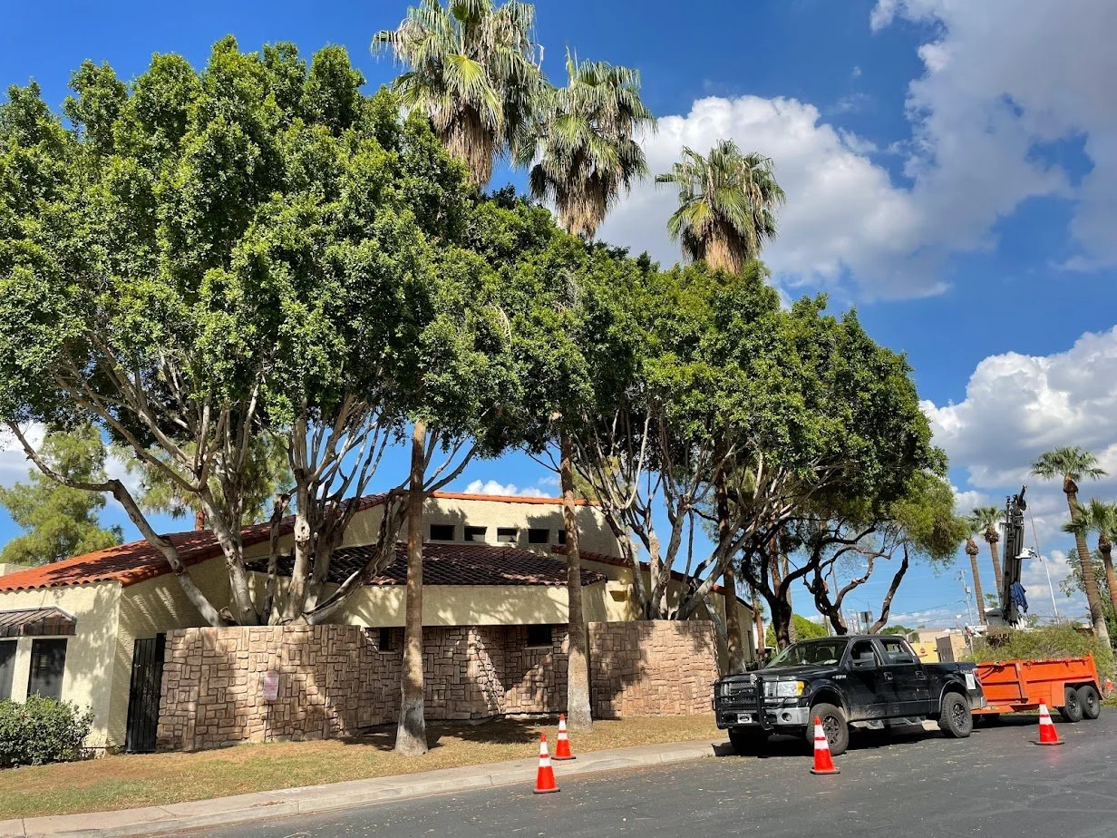Searching for commercial tree trimming or tree removal near you in Tucson, AZ? Tree Toppers delivers dependable service for commercial properties of all sizes.