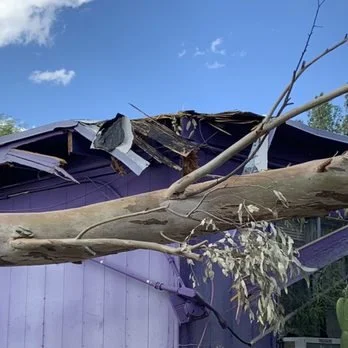 Emergency tree removal near you in Tucson, AZ. Tree Toppers responds quickly to storm-damaged trees, fallen limbs, and urgent tree hazards. Let our expert Tree service company handle the heavy lifting!