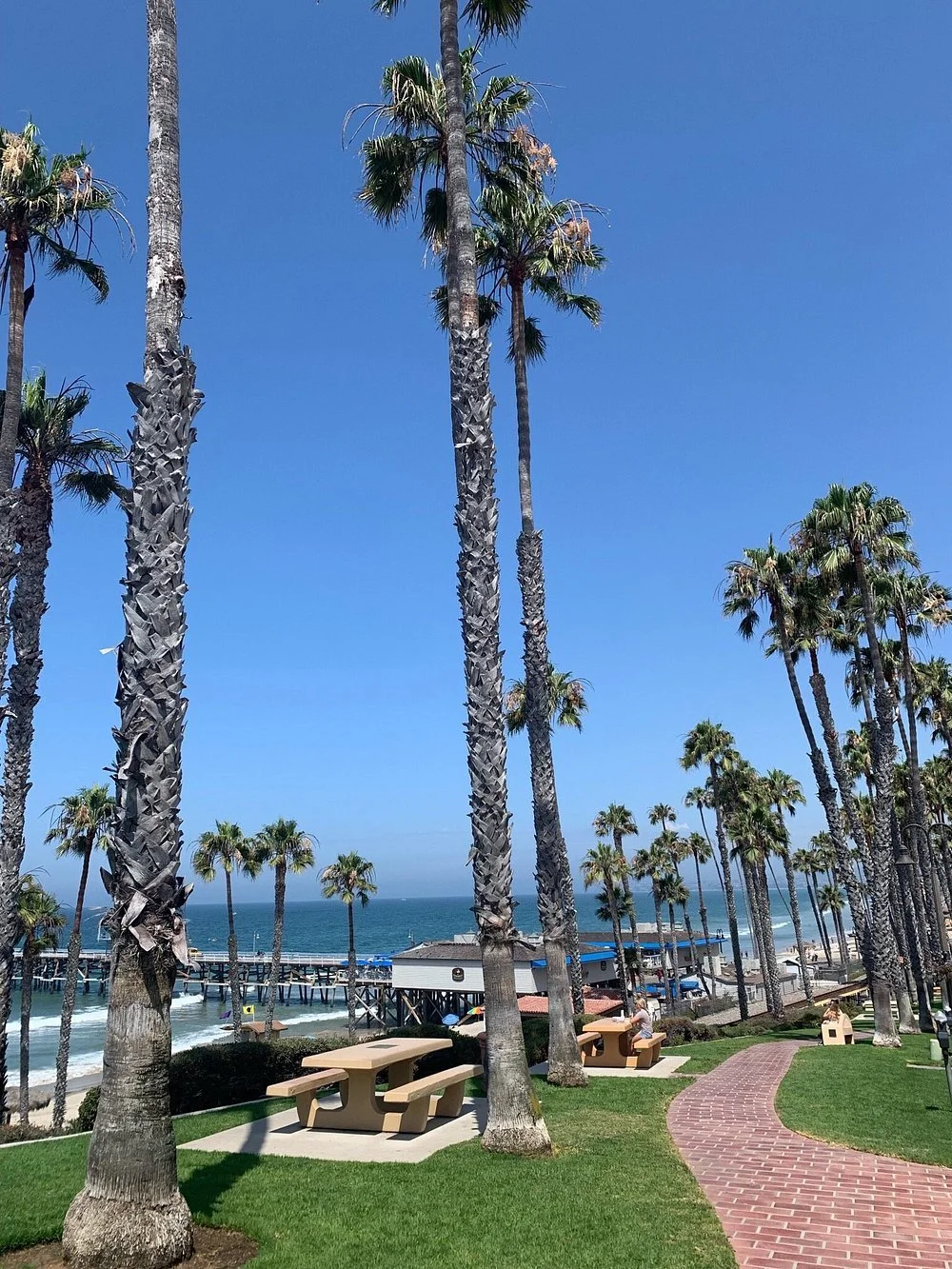 Pier15.jpg