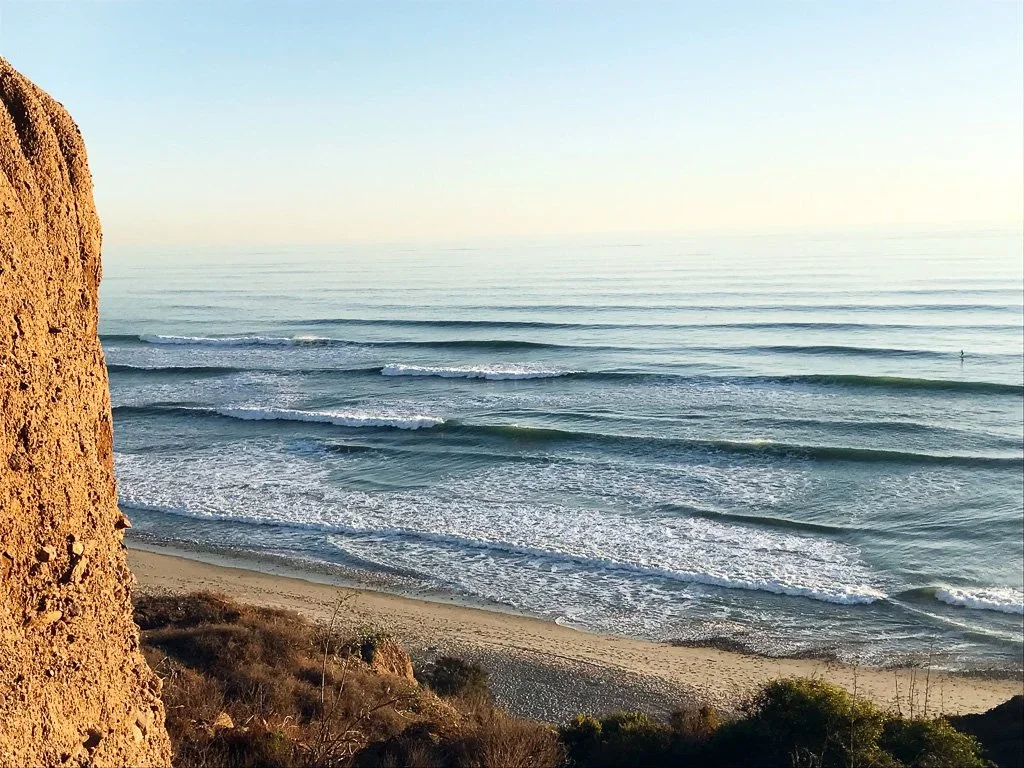 Surf-1-2.webp