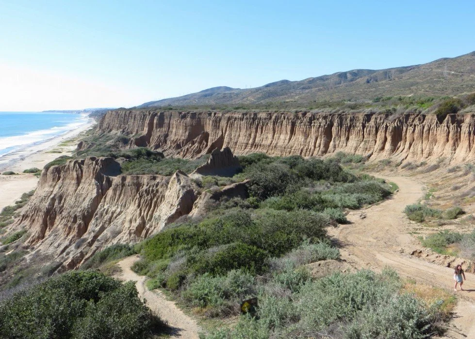 San-Onofre-SB-Bluffs-Bryce-Apr16-16-979x700.jpg