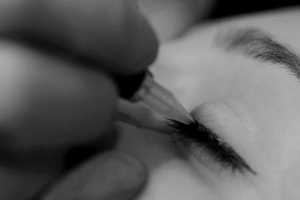 Raleigh Lashline Enhancement - Black and White photo