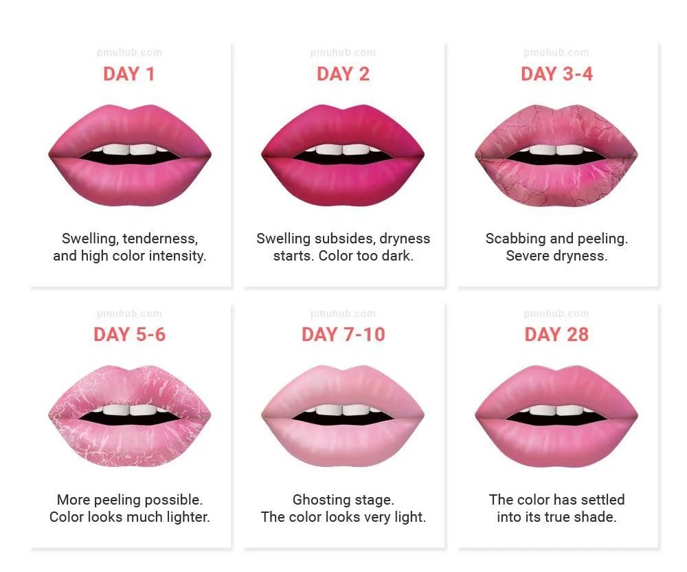 Ivey Artistry Studio of Lip Blush Permanent Makeup Care Chart