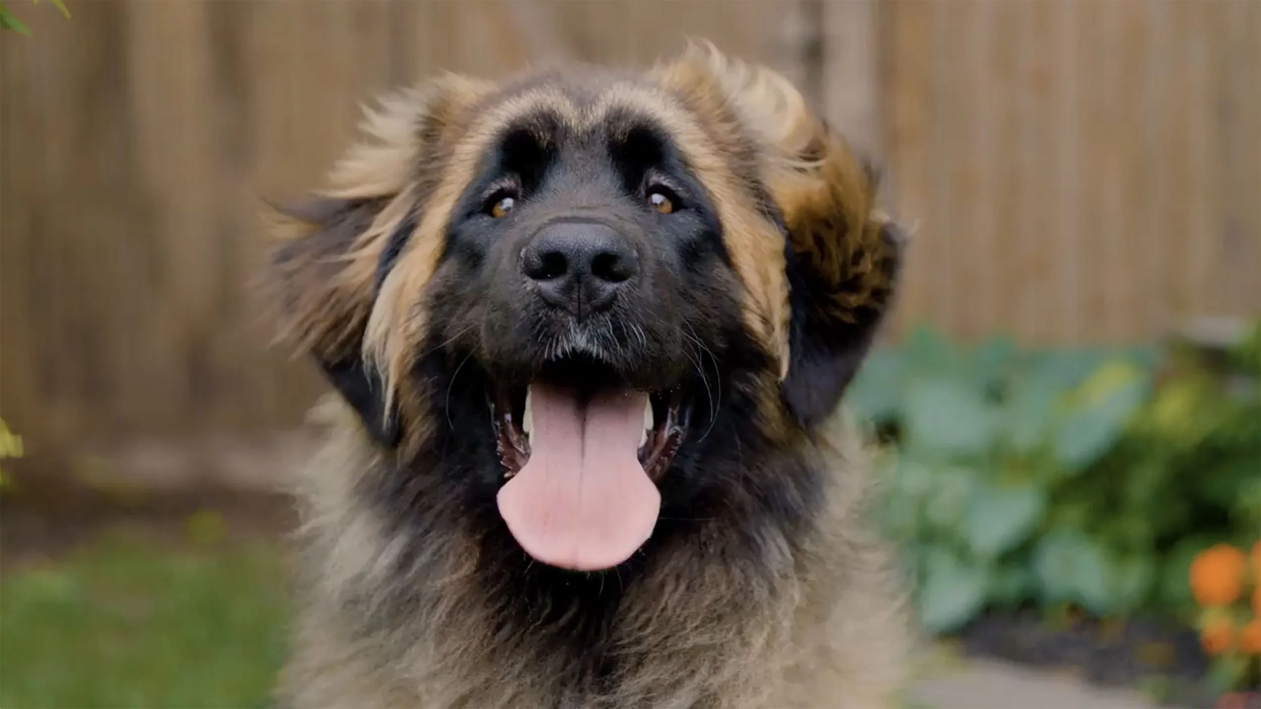 Always By Your Side Commercial