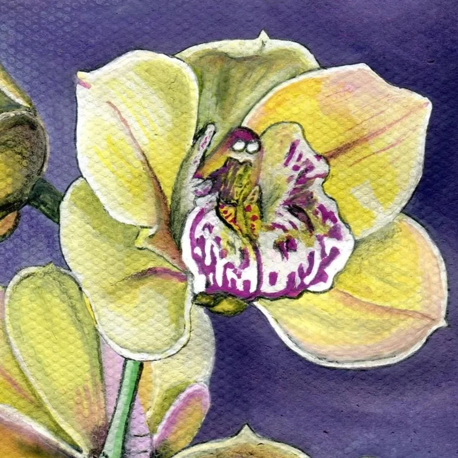 Grief, gouache and what’s next