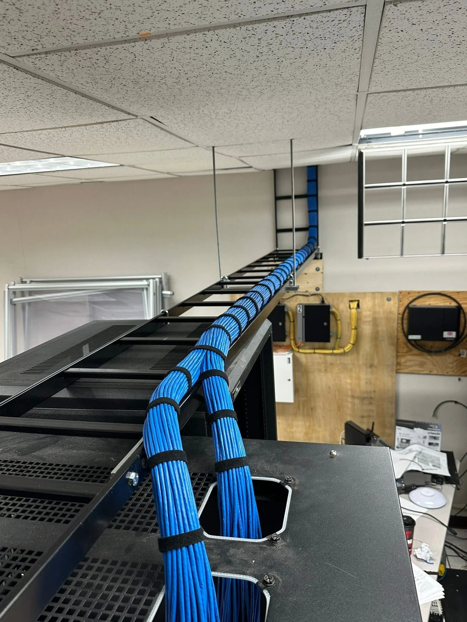 Close-up of network switches with blue and yellow Ethernet cables connected.