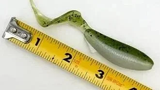 Jesters 5.4 inch Whip Wad Swim Bait