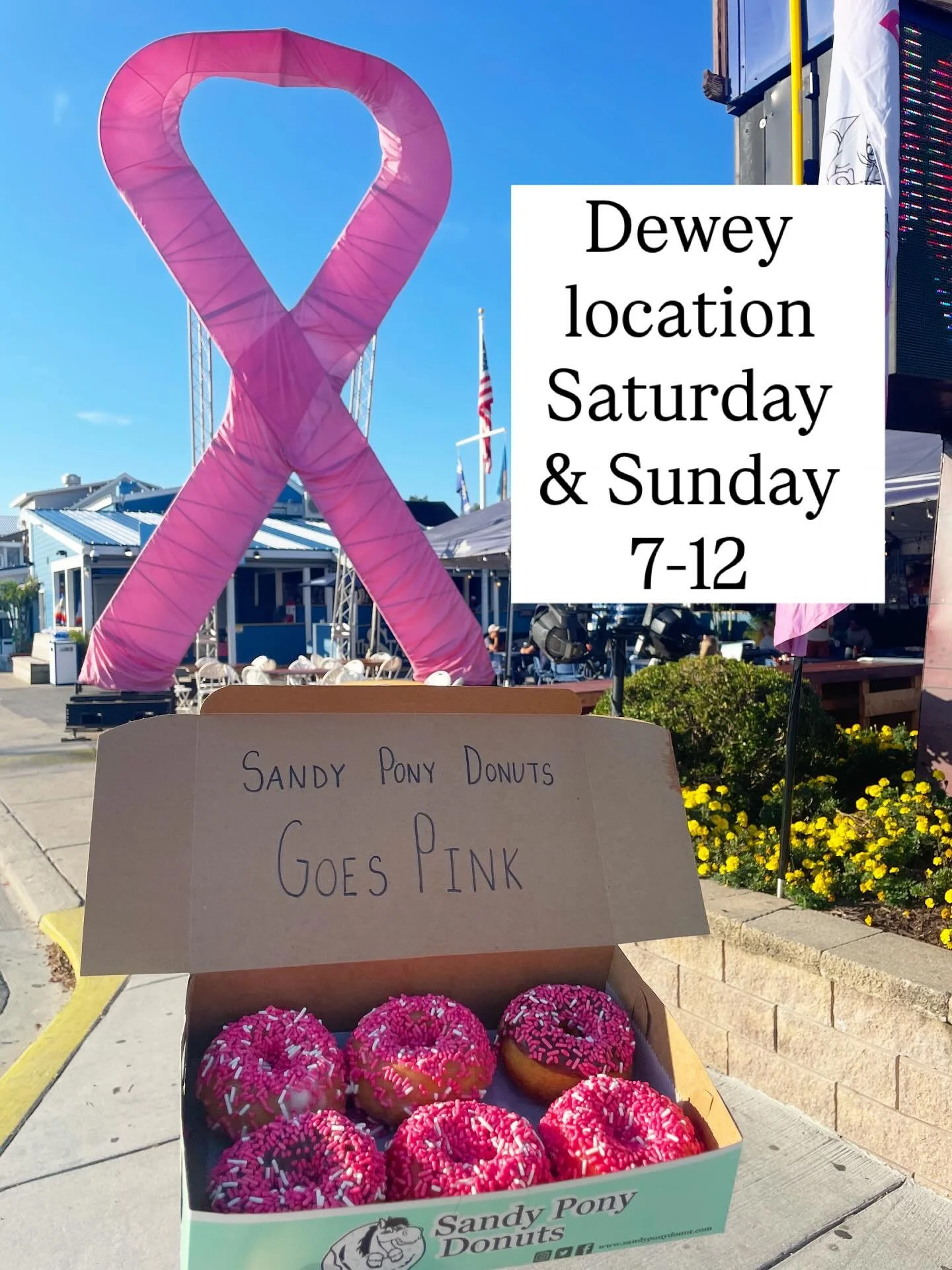 It&rsquo;s our last weekend open in Dewey beach for the 2025 season! Be sure to stop by after the Dewey goes pink run for some coffee, donuts, smoothies &amp; a&ccedil;a&iacute; bowls! Open 7-12 Saturday &amp; Sunday! 

#sandyponydonuts #deweygoespin