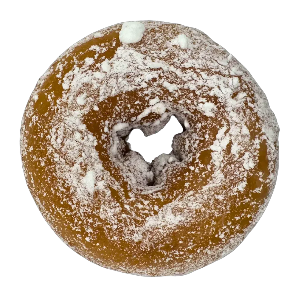 A single toasted plain donut with a golden-brown exterior.