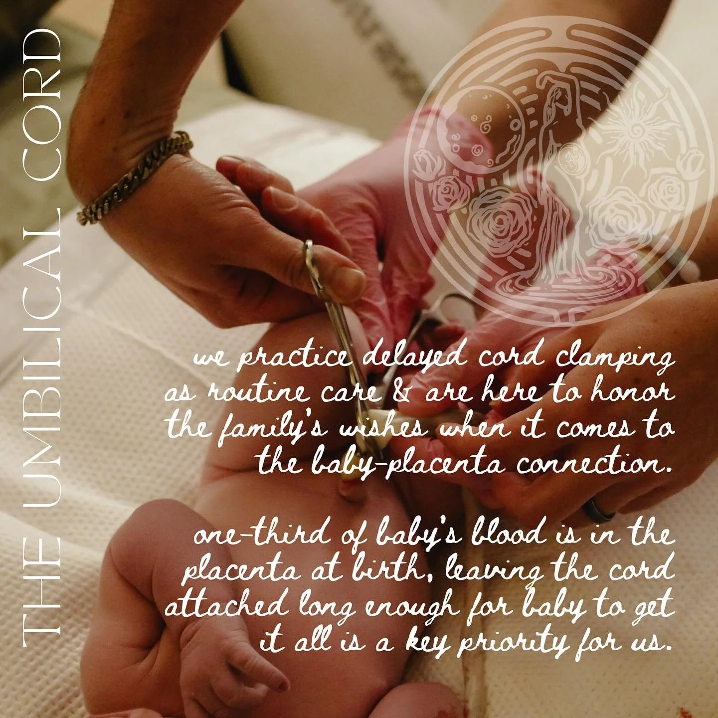 Here to hold space for &amp; honor your family&rsquo;s wishes.