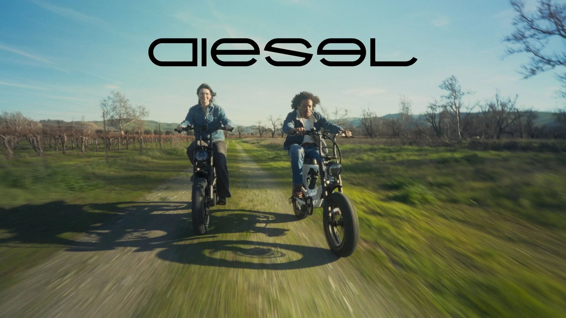 Diesel E-Bikes