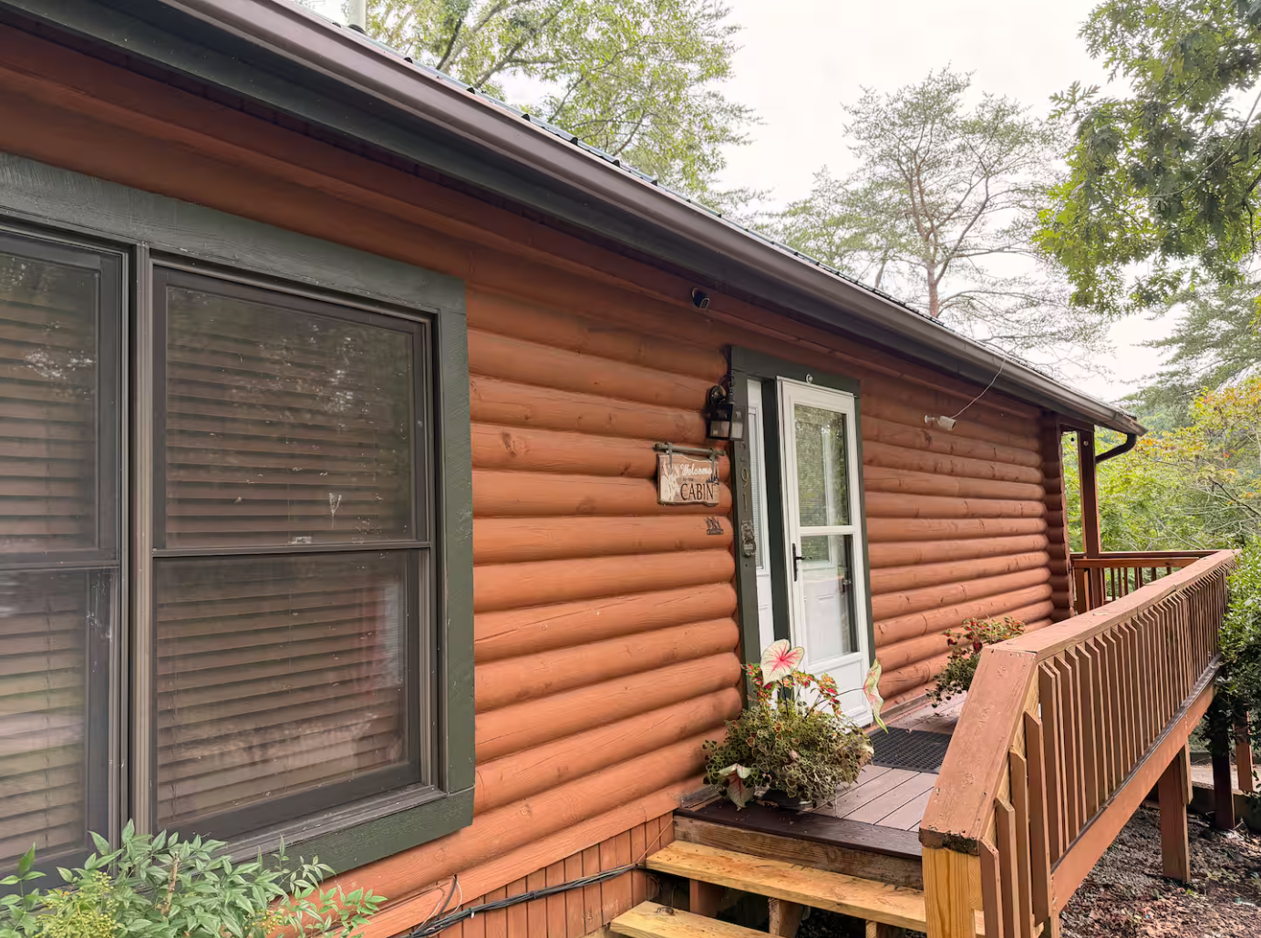 Lakeside Cabin 5.png