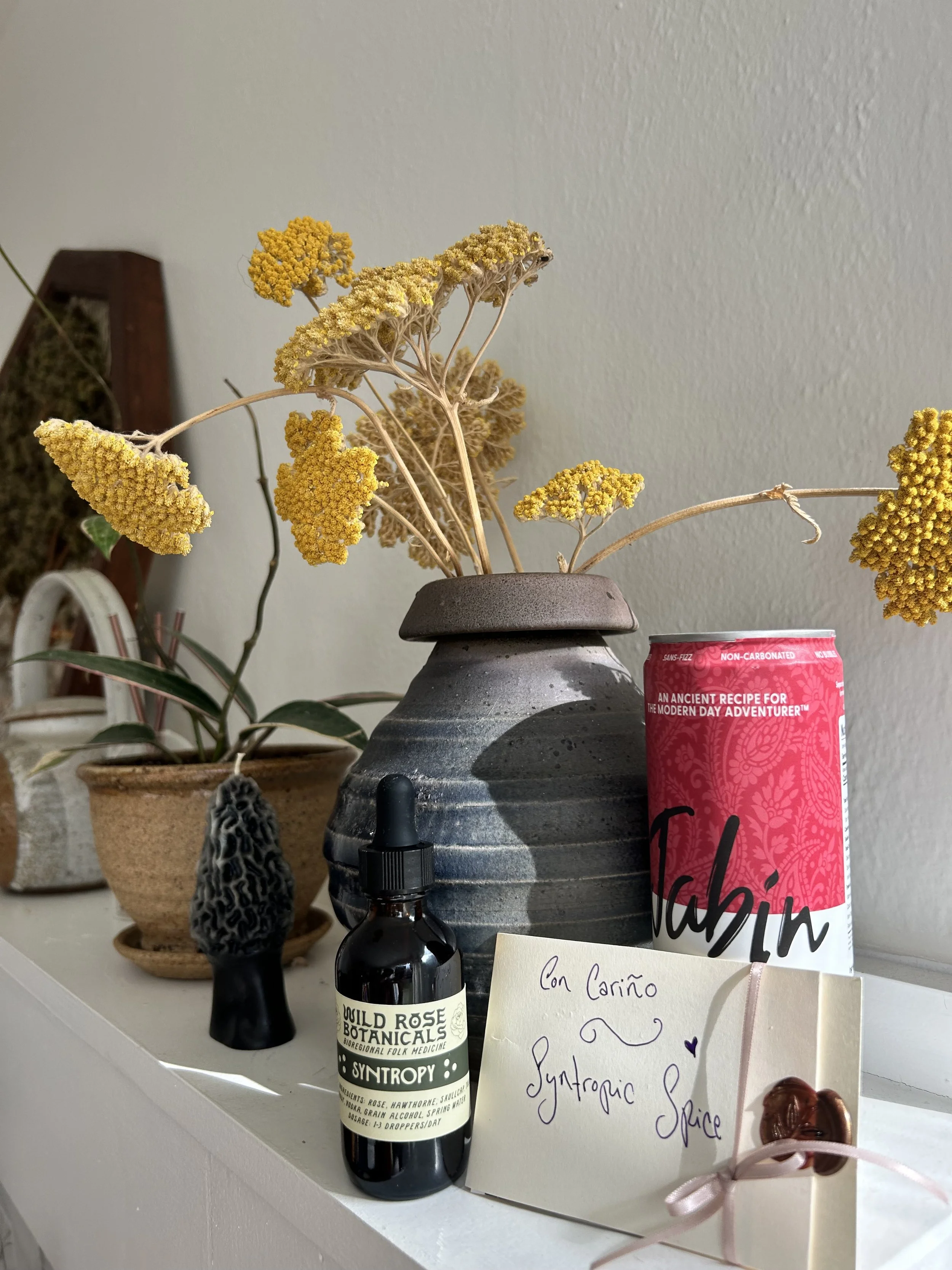 Syntropy Tincture