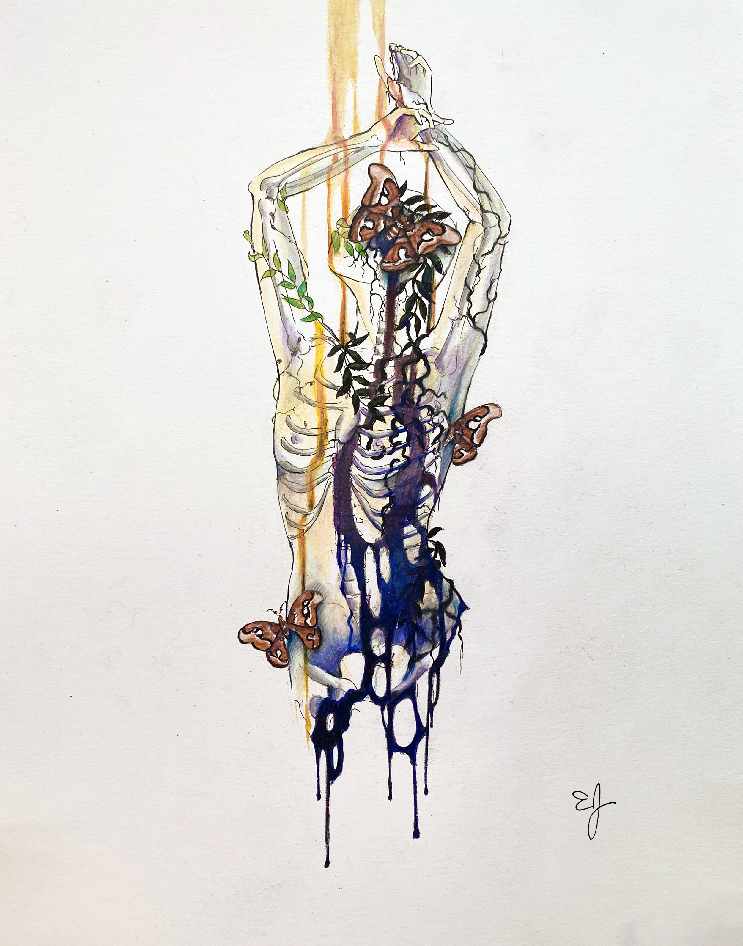 growth and decay signed.png