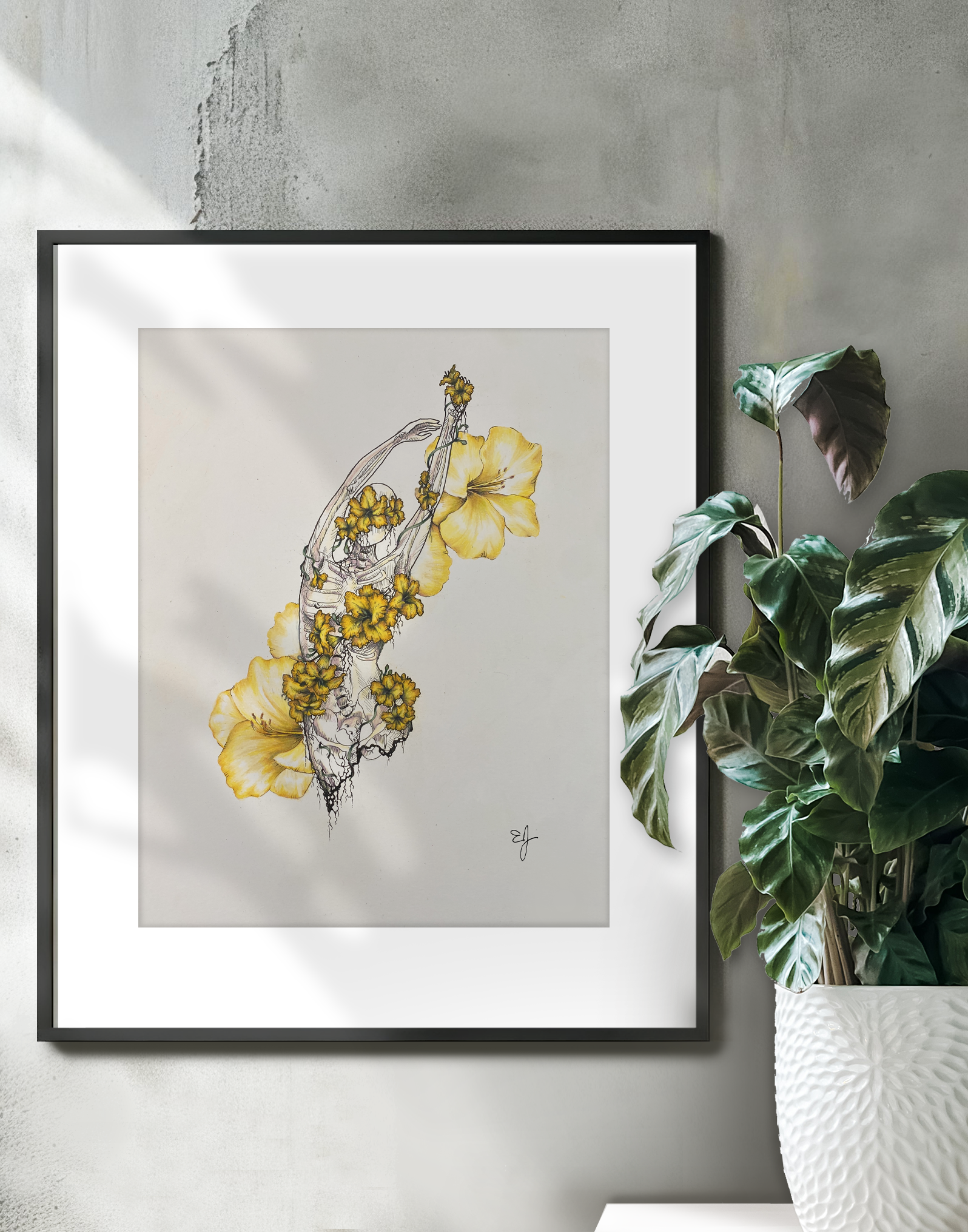 daylilly on wall.png