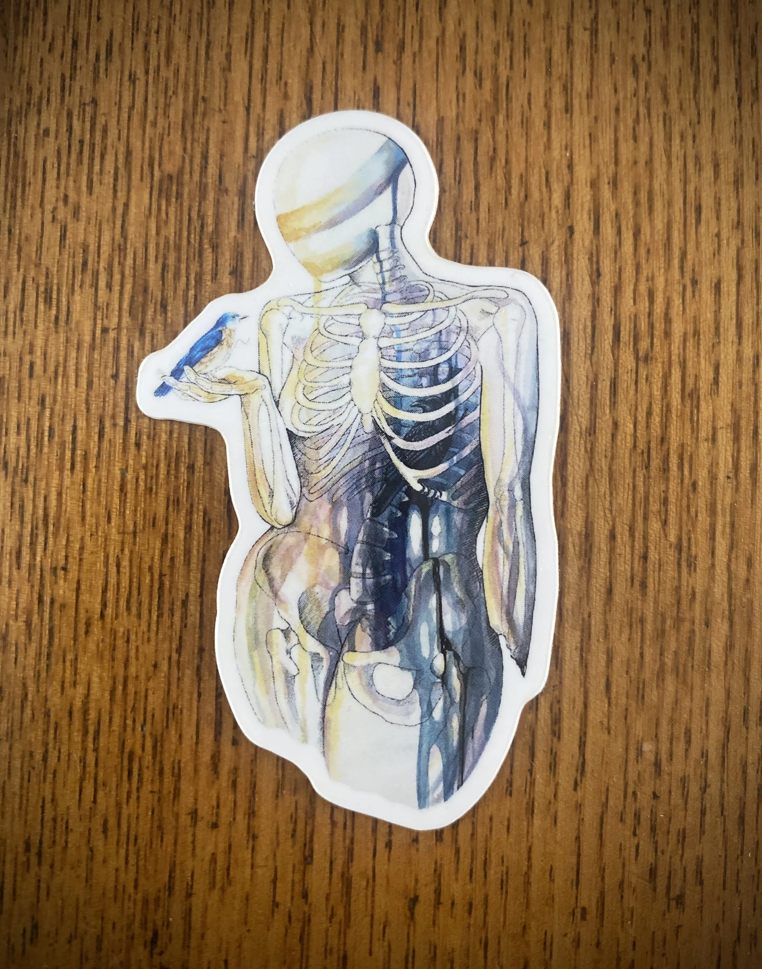 Vinyl Bluebird & Raven Figure Sticker