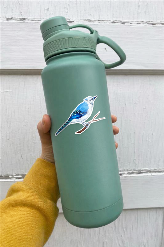 blue jay sticker mock ip.png
