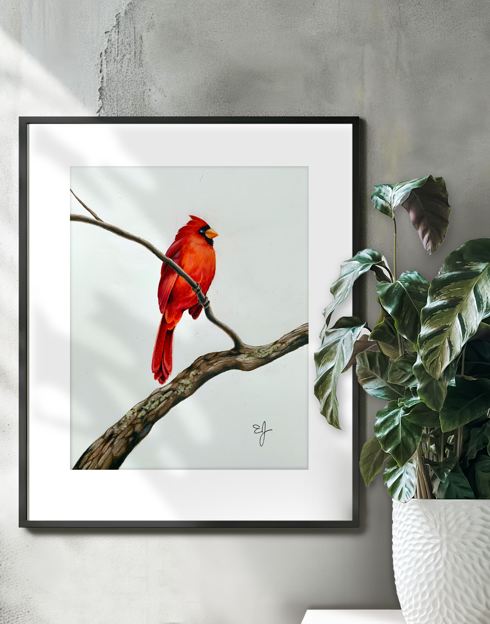 cardinal on wall.png