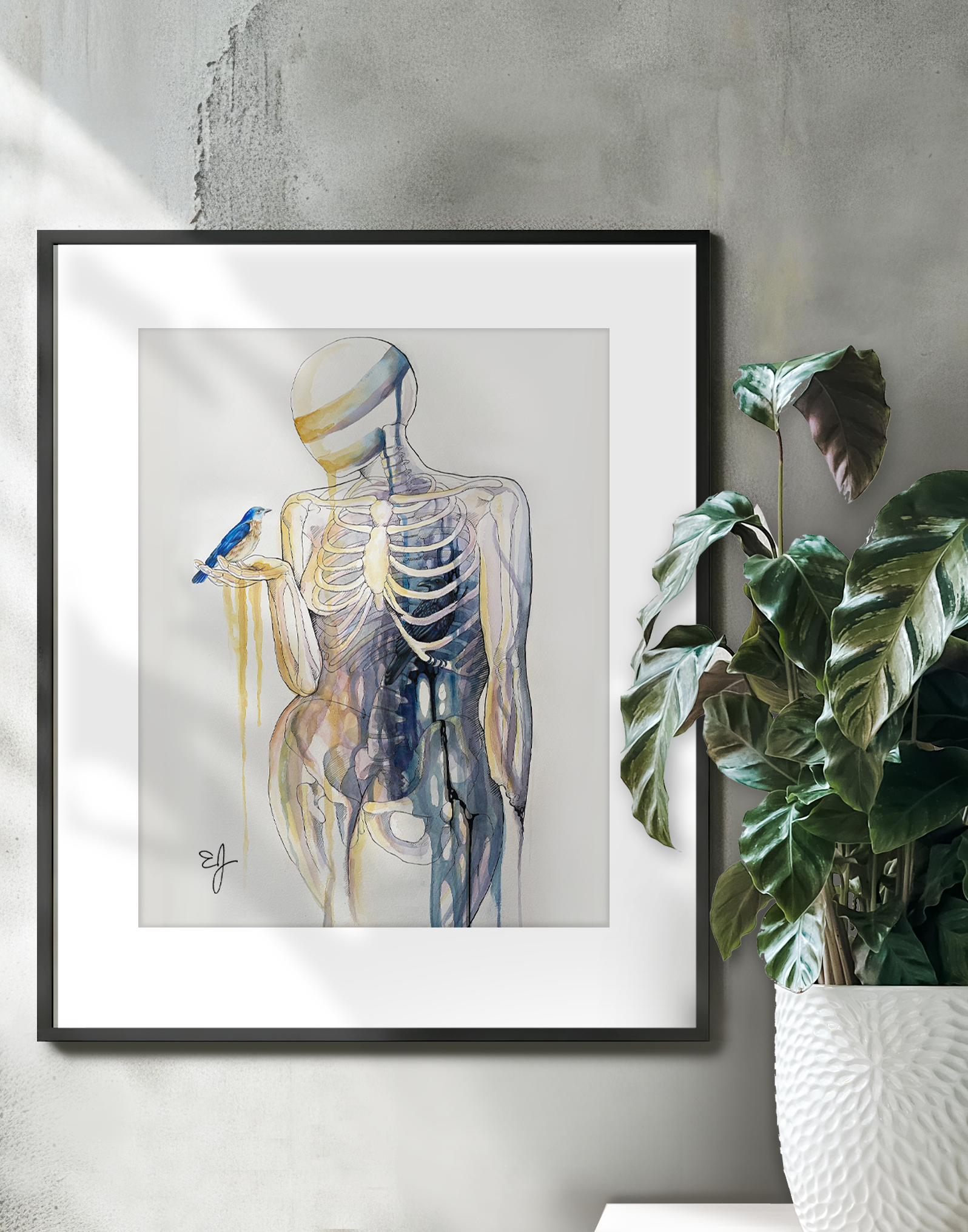 BLUEBIRD RAVEN ON WALL.png