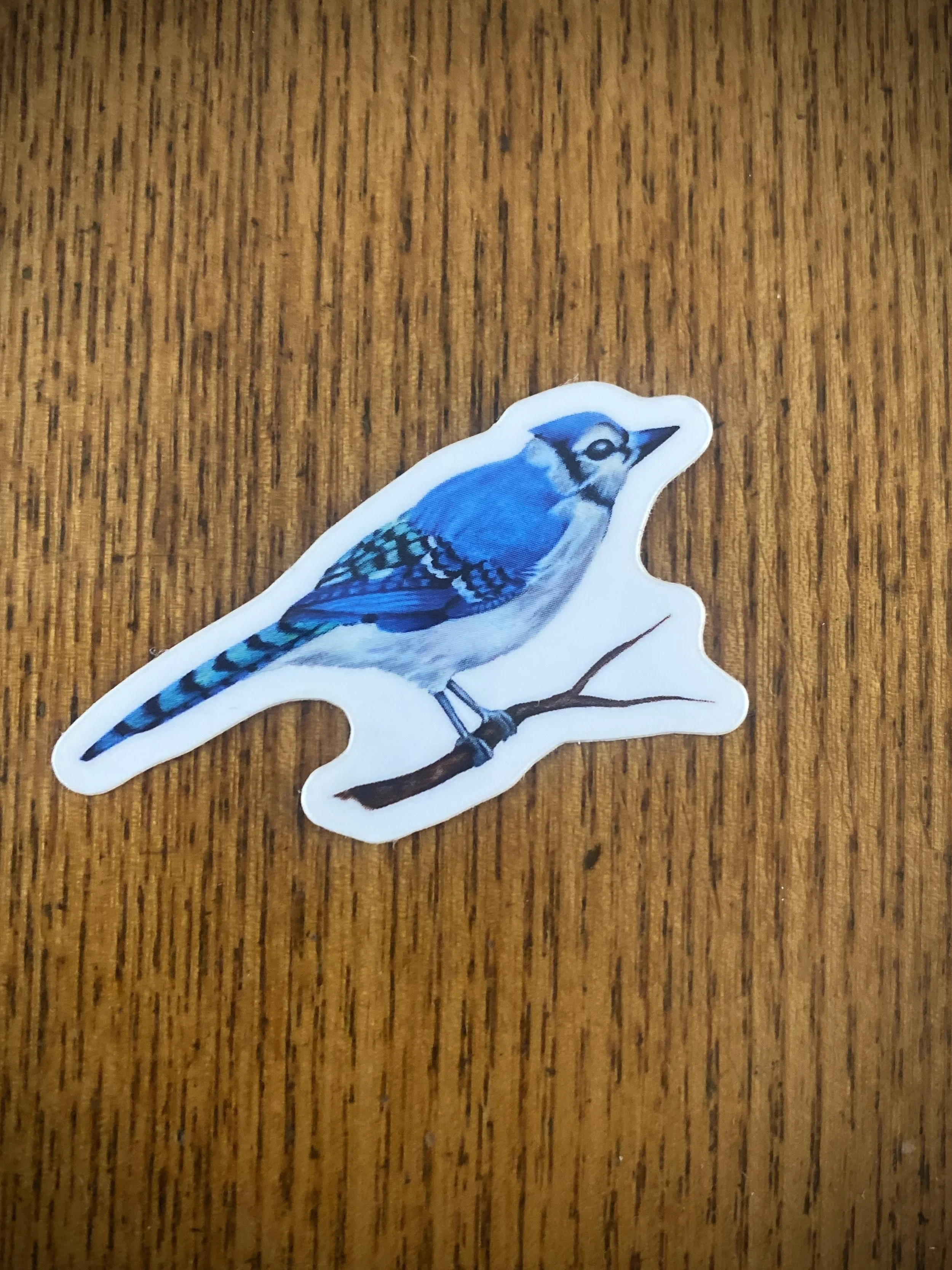 Vinyl Bluejay Sticker