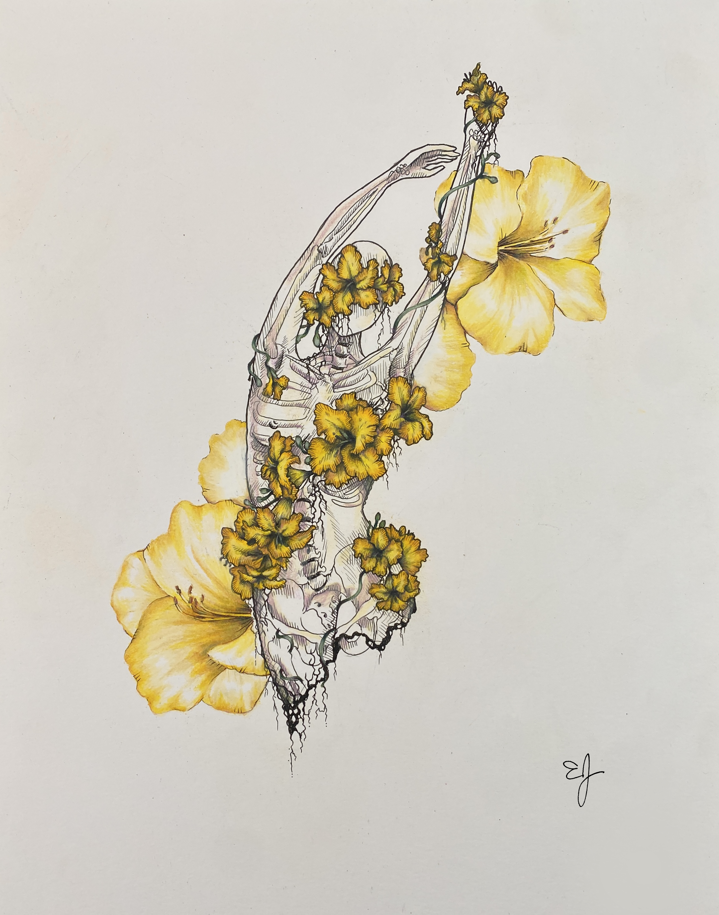 DAY LILLY SIGNED.png