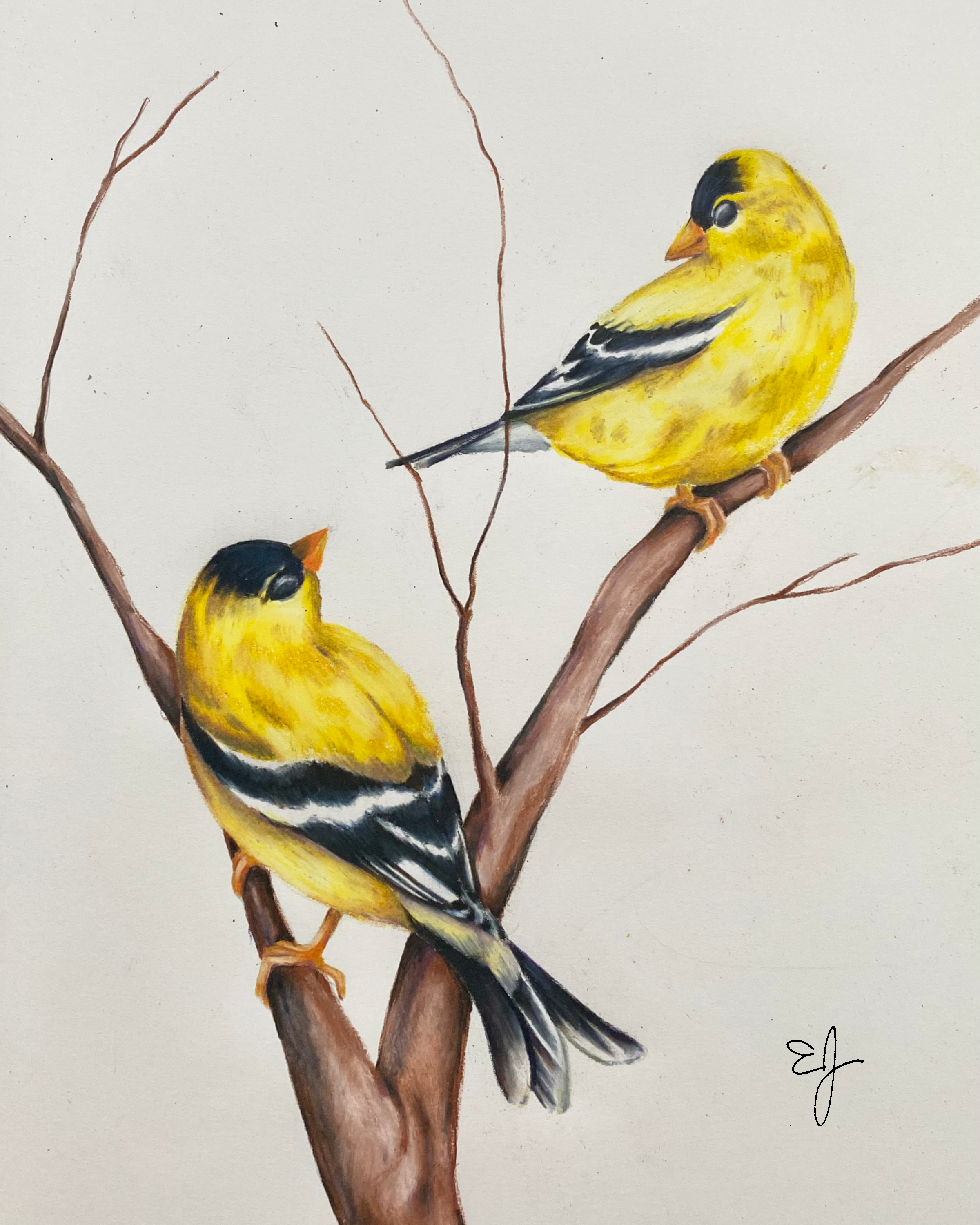 Gold Finches - Print