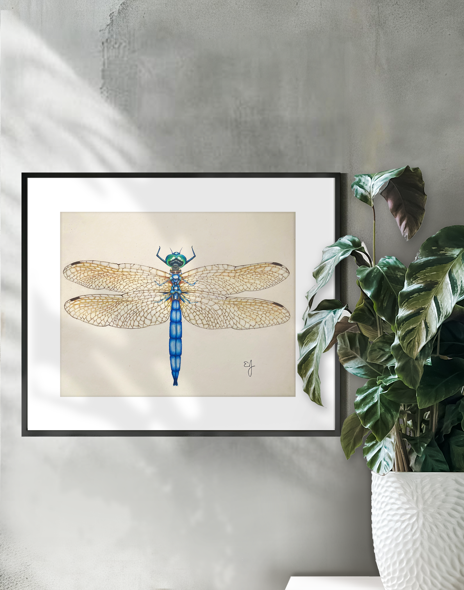 dragonfly on wall.png