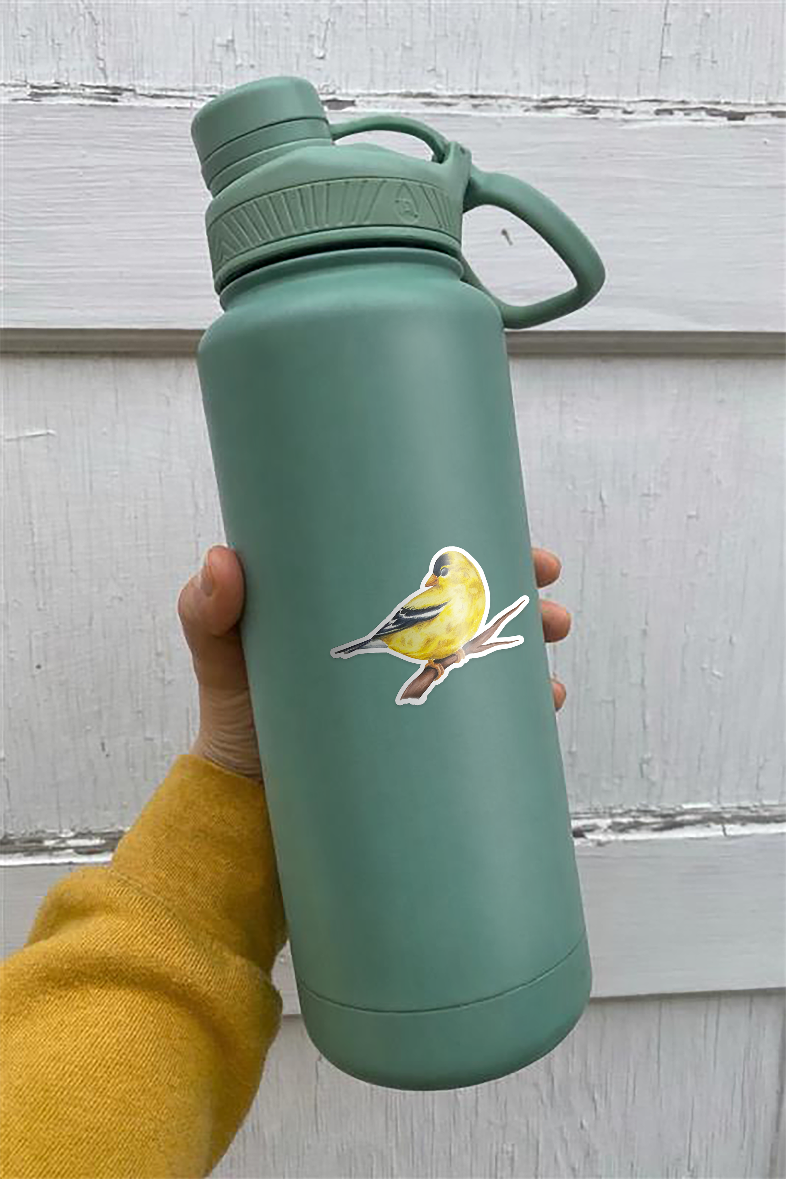 finch mock up.png