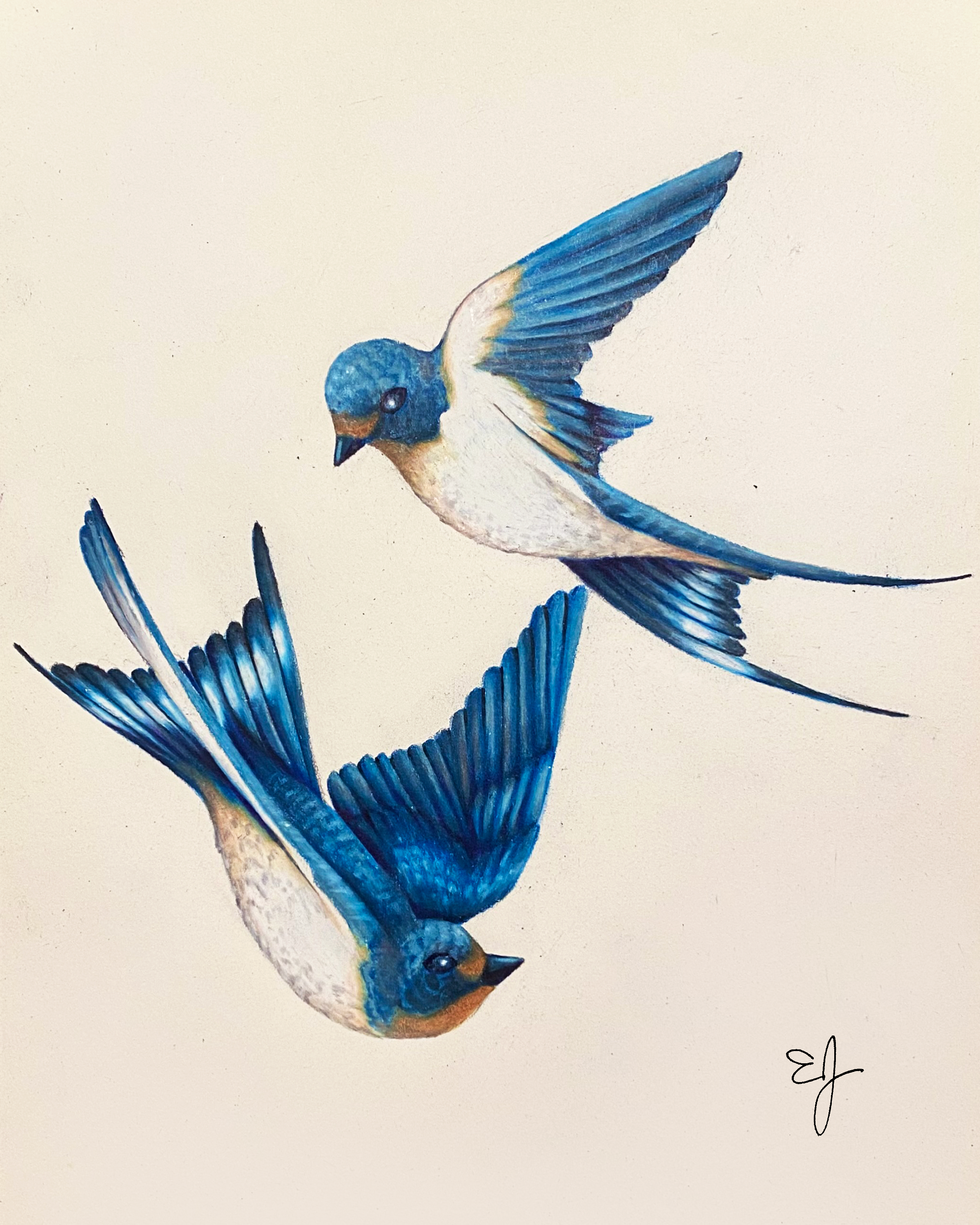 Swallows - Print