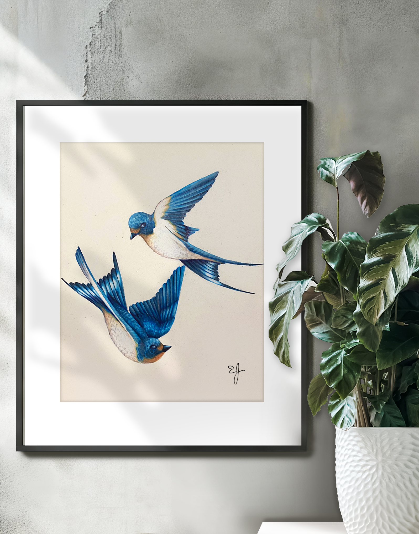 swallows on wall.png