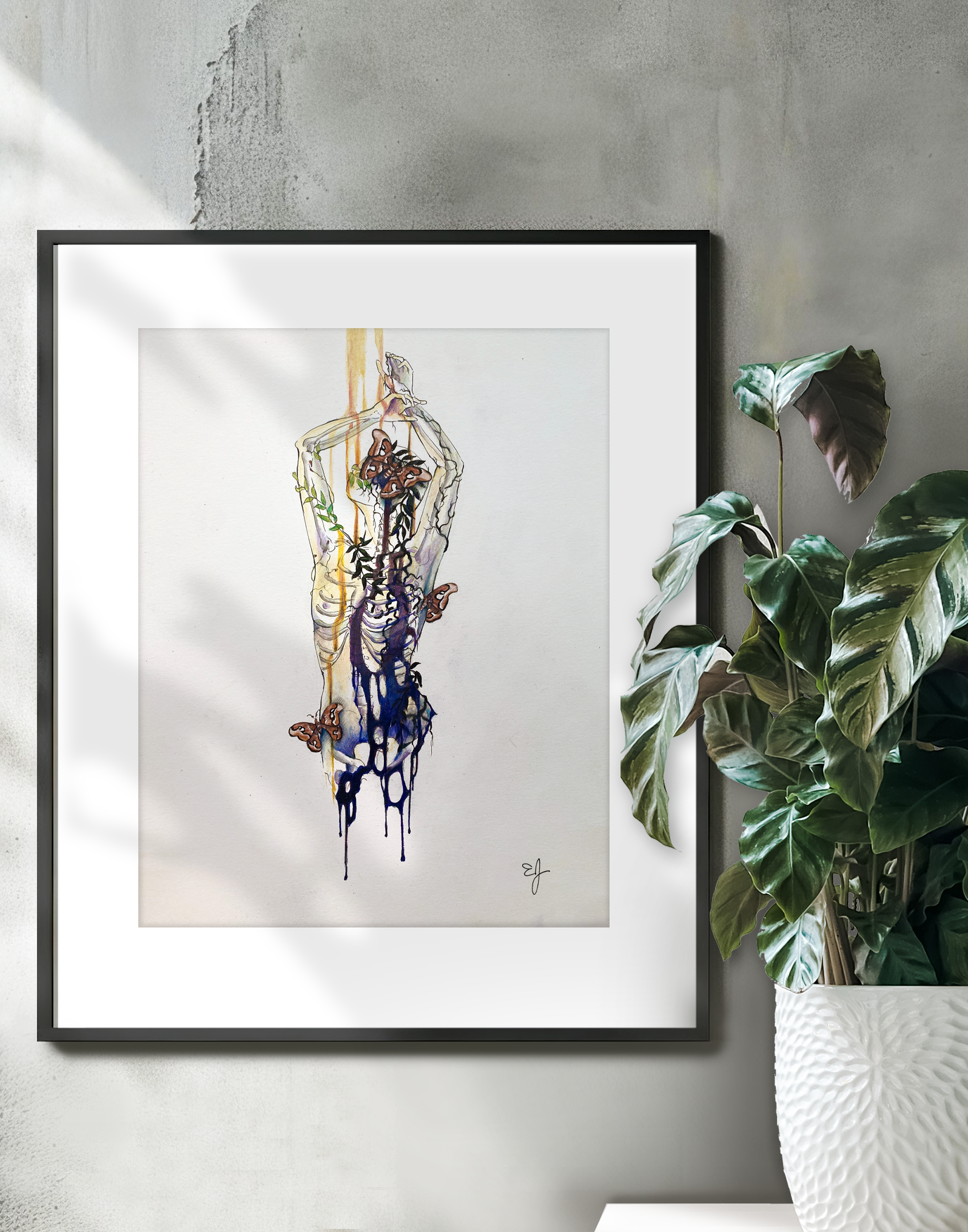 growth and decay on wall.png