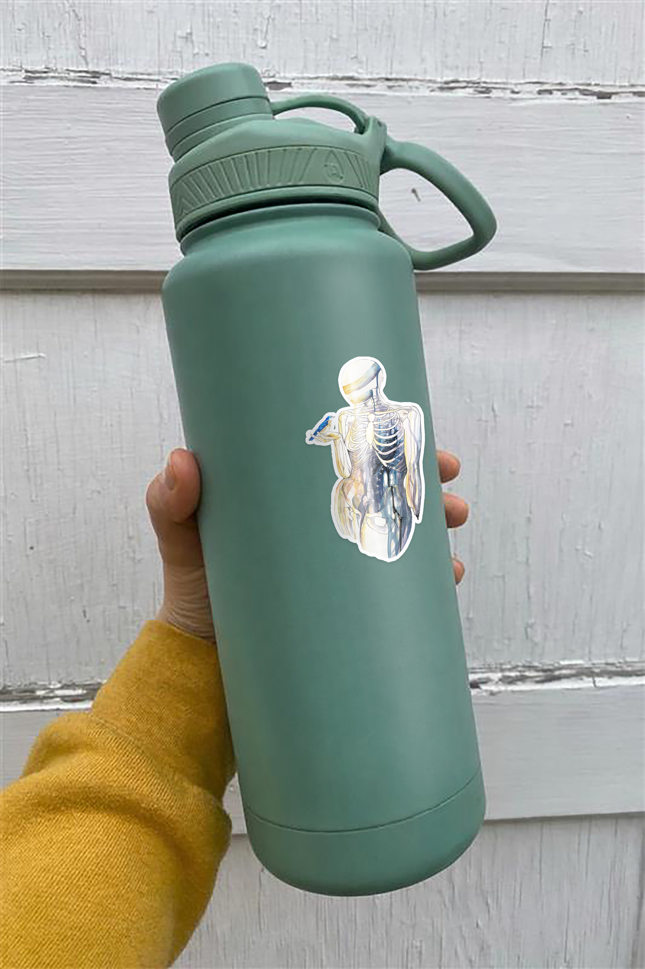 BLUE BIRD RAVEN MOCK UP.png