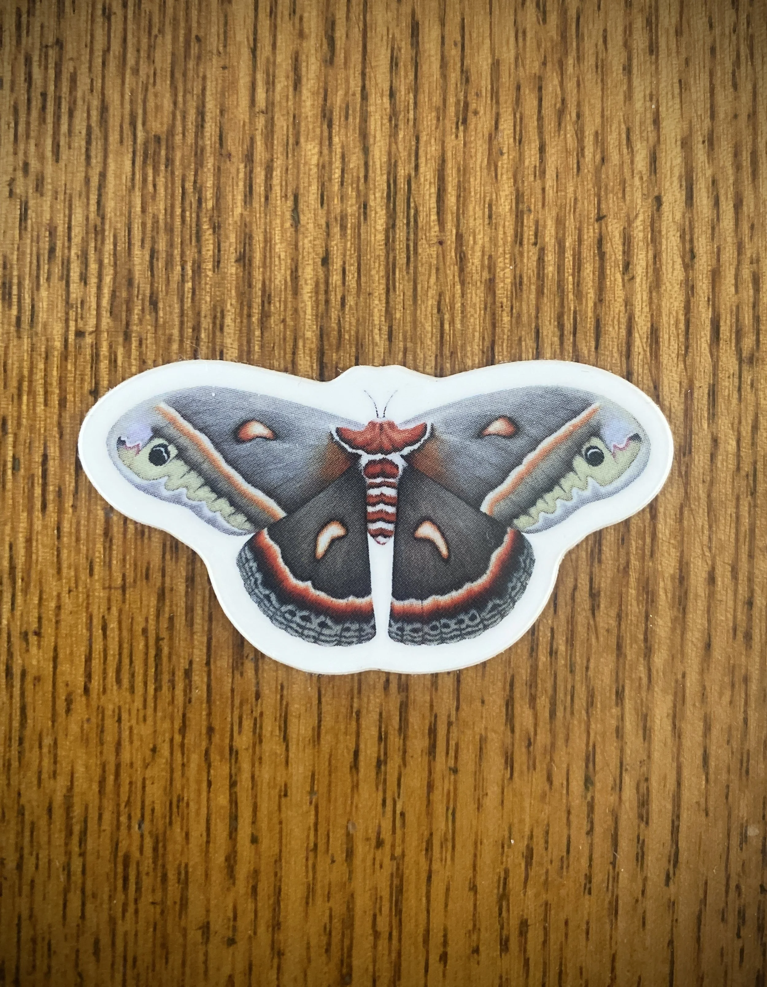 Vinyl Cecropia Moth Sticker